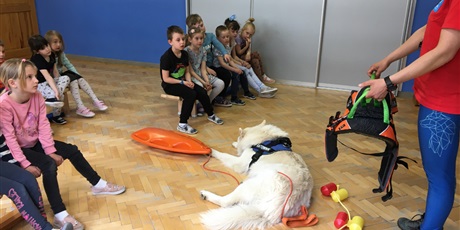 Powiększ grafikę: Dzieci z gr. IV podczas zajęć z psem.