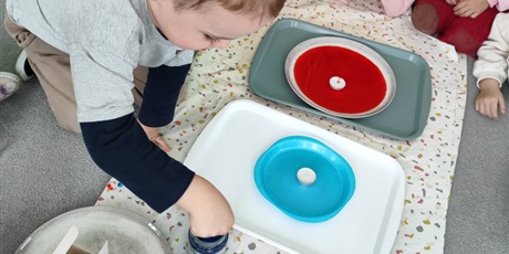 Powiększ grafikę: Grupa Żabek