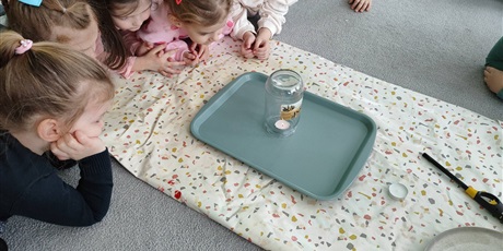 Powiększ grafikę: Grupa Żabek