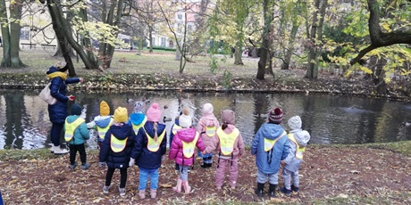 Powiększ grafikę: Dzieci w parku oliwskim patrzą na kaczkę Mandarynkę płynącą w rzece.